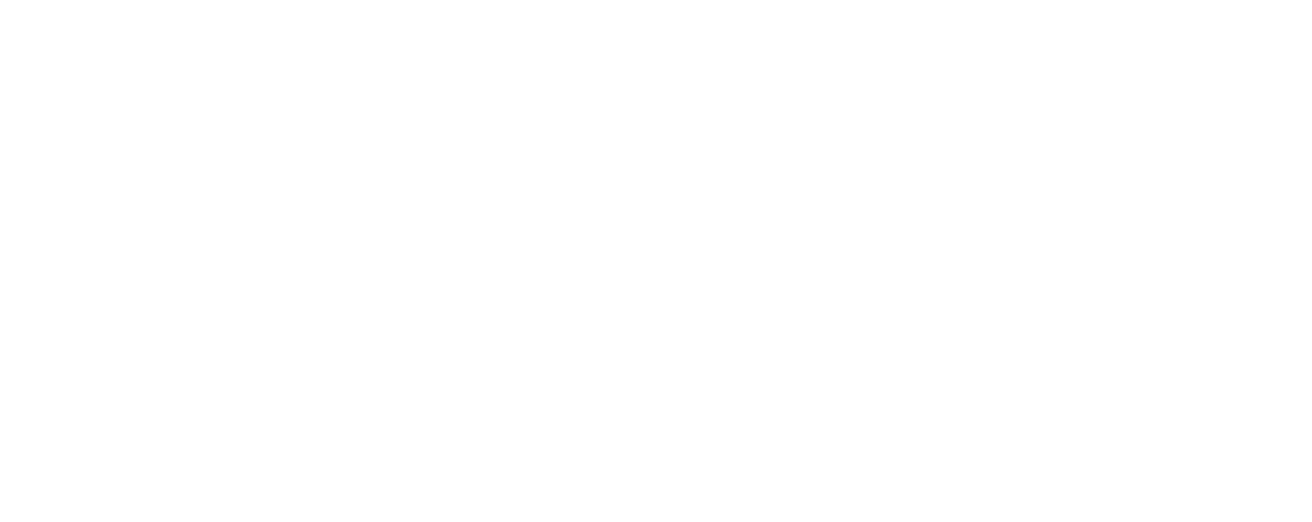 demscore_logotype_white 2